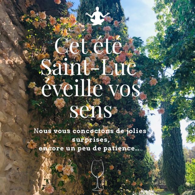 Encore un peu de patience pour de jolies surprises 
#dromeprovencale #vacancesdete #activitetouristique #degustation #wine #domaineviticole #ladrometourisme #grignanlesadhemar #baumedetransit #cotesdurhonevillagessuzelarousse #suzelarousse #like26 #winemoment #frenchwine #winelover