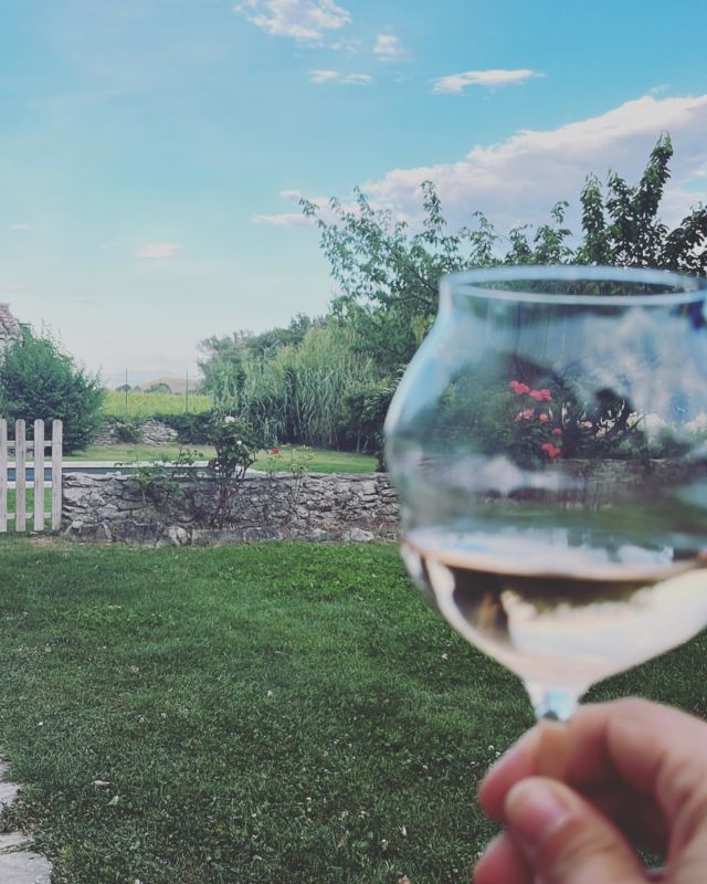 Oyé oyé la saison des salons commencent, on ouvre le bal avec #lesalondesvigneronsindependants de Lyon à partir de jeudi 🍷 venez nous retrouver à la @halletonygarnier pour découvrir ou redécouvrir nos vins STAND E29
Rendez-vous sur notre site internet pour télécharger votre invitation gratuite