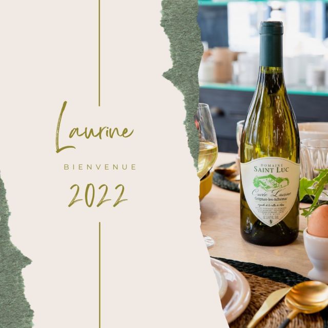 Le gras du viognier, la fraîcheur du bourboulenc, les notes vanillées de l’élevage … nous vous présentons la ⓁⒶⓊⓇⒾⓃⒺ 2022 #domainesaintluc #grignanlesadhemar #winelover #like26 #viognier #bourboulenc #baumedetransit