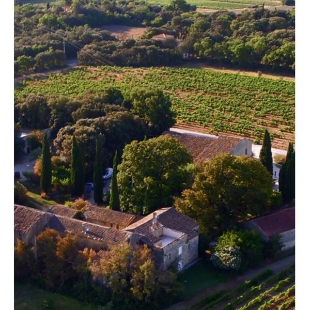 Bonne nouvelle !!!! Notre nouveau site internet est en ligne 😋 tout beau, tout neuf et tout plein d’info sur le #domainesaintluc (lien dans la bio)
#grignanlesadhemar #like26 #dromeprovencale #ladrometourisme #cotesdurhonevillages #cotesdurhonevillagessuzelarousse