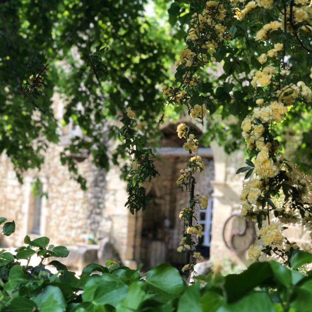 Le retour du soleil ☀️ #domainesaintluc #grignanlesadhemar #cotesdurhonevillages #like26 #dromeprovencale #drometourisme
